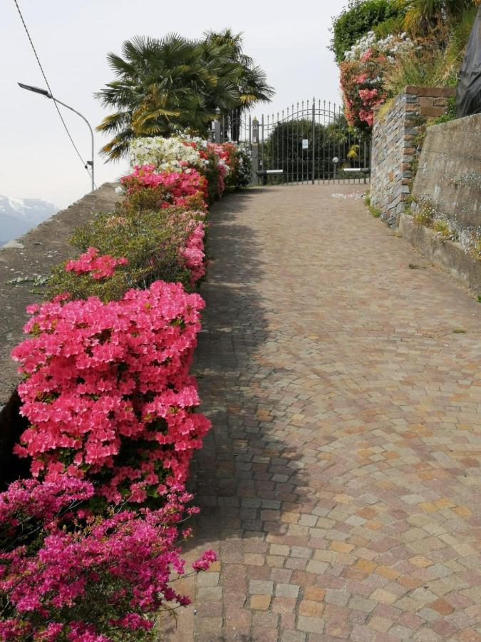 Villetta Primavera Verbania Exterior foto